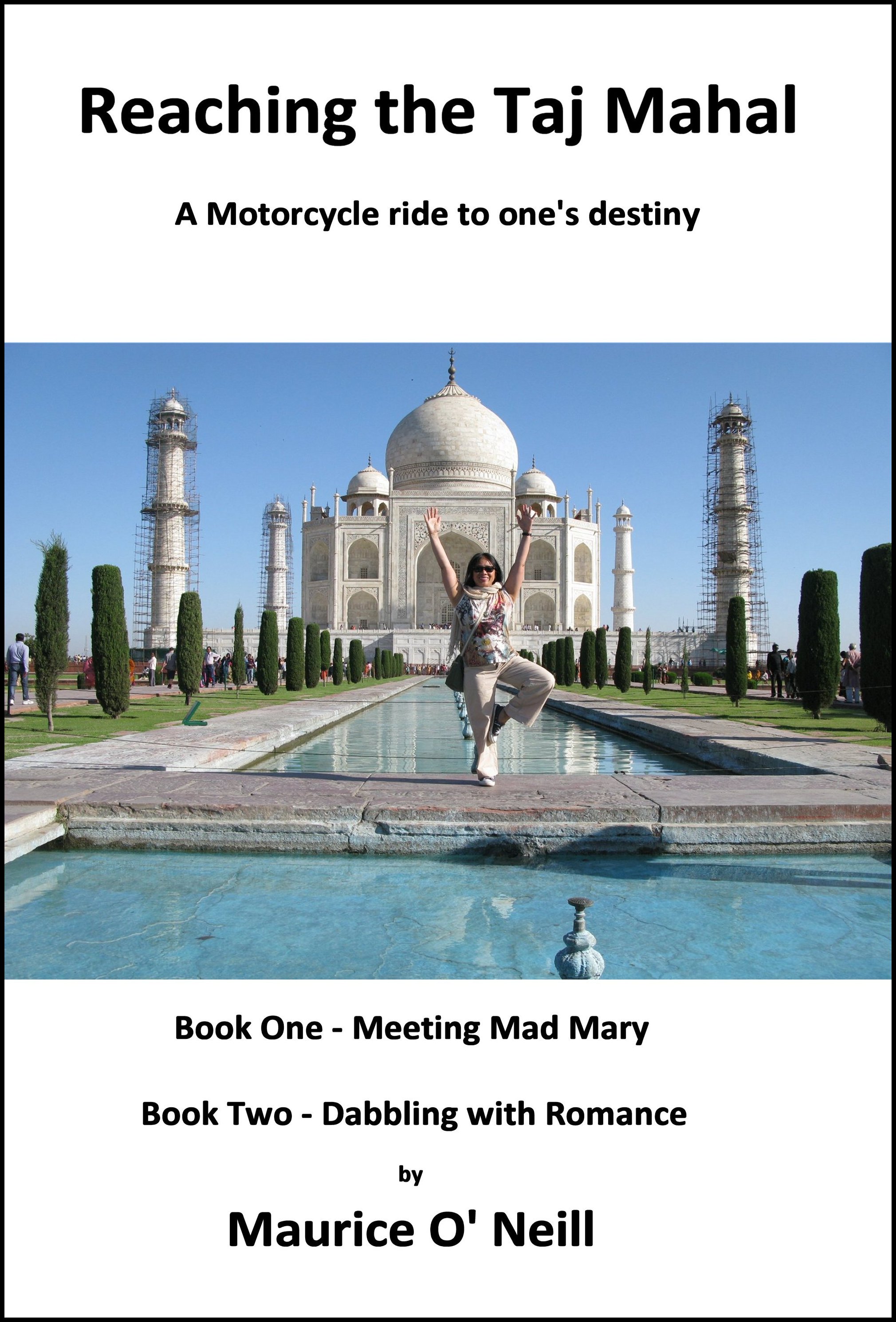 Book Titled - Reaching the Taj Mahal